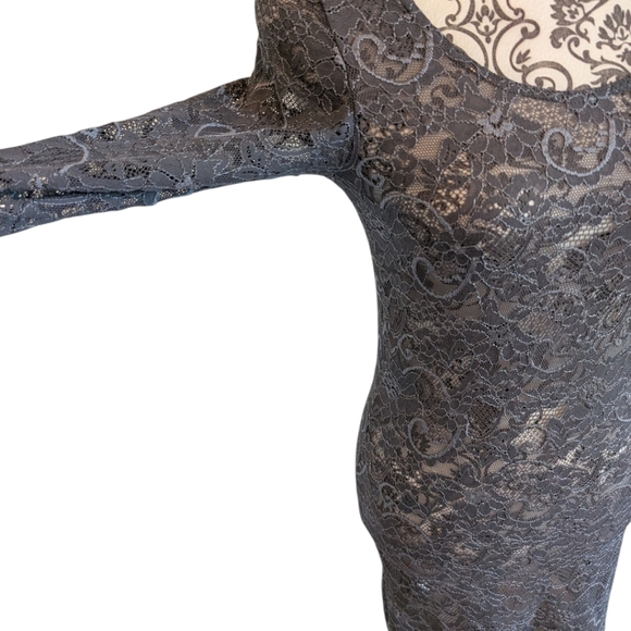 Aritzia Talula Clarendon Dress Lace Sheer Whimsigoth Y2K Women's M Fairy Grey - Picture 7 of 14